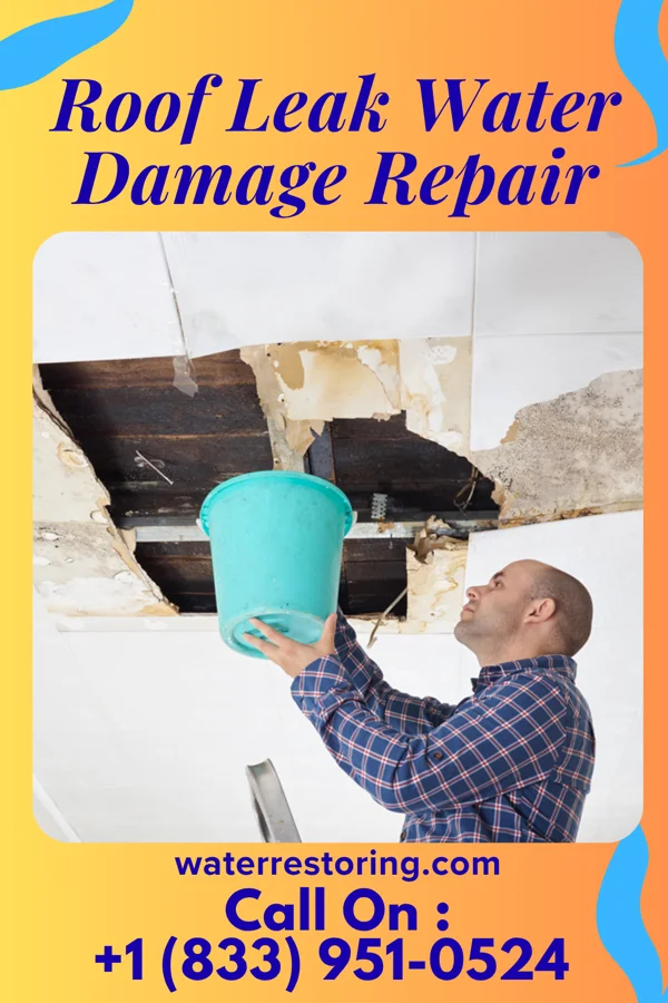 Roof Leak Water Damage Repair in Quail Ridge, FL